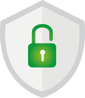 securityIcon